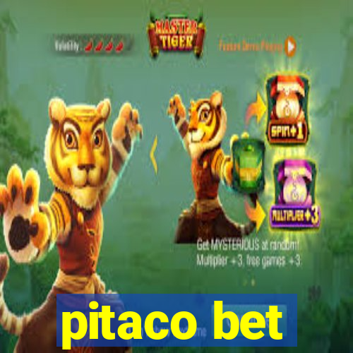 pitaco bet