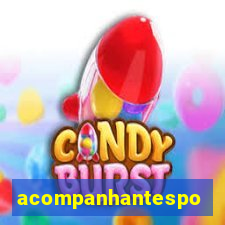 acompanhantesportovelho