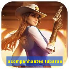 acompanhantes tubarao