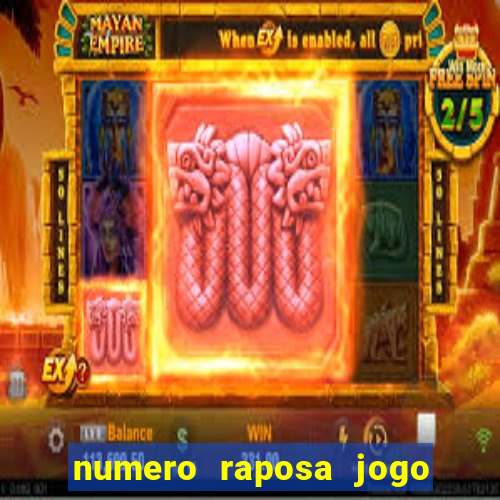 numero raposa jogo do bicho