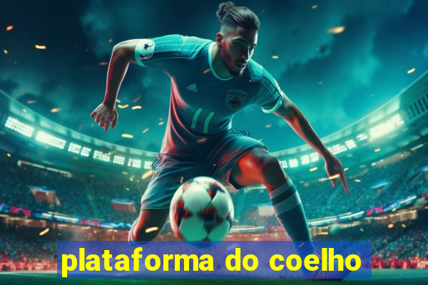 plataforma do coelho