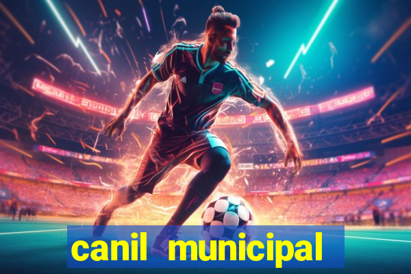 canil municipal porto alegre